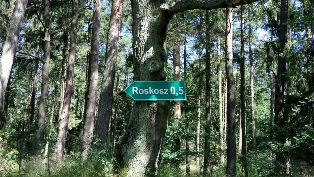 Ostoja Sosnowa Czarny Mlyn, Kompleks Dwoch Nowych Domkow Bagian luar foto